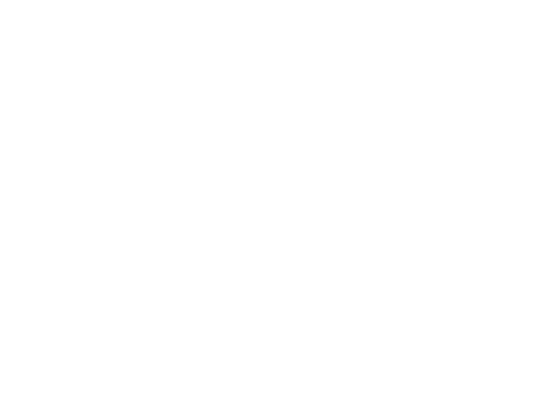 webfleetsolutions_icons